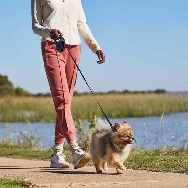 Automatic Retractable Dog Leash - Dual Size Options with Brake & Lock Safety System