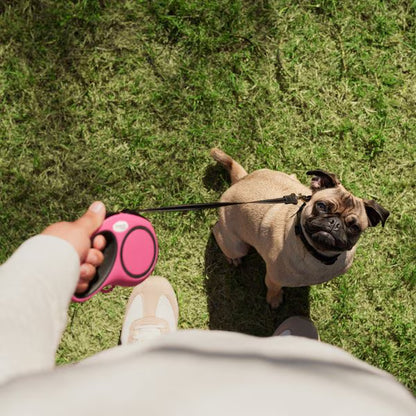 Automatic Retractable Dog Leash - Dual Size Options with Brake & Lock Safety System